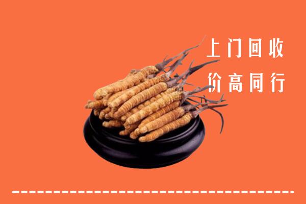 高价求购：黄南州同仁回收散虫草