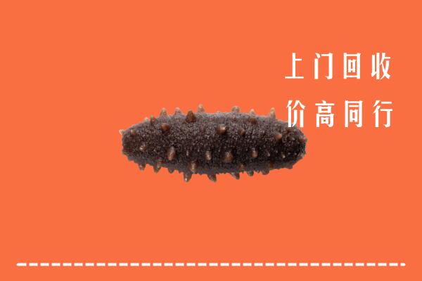 高价求购：黄南州同仁回收海参