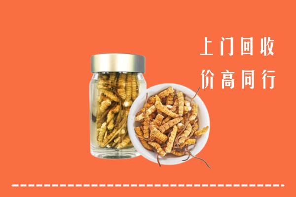 黄南州同仁回收冬虫夏草