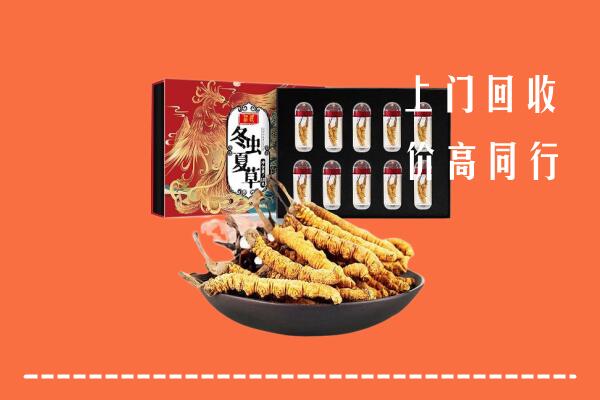 黄南州同仁回收虫草